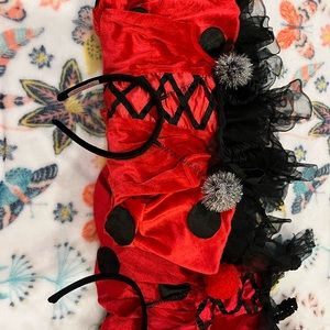 2 Lady Bug costumes both size 2 6X for Halloween/ fun play day.